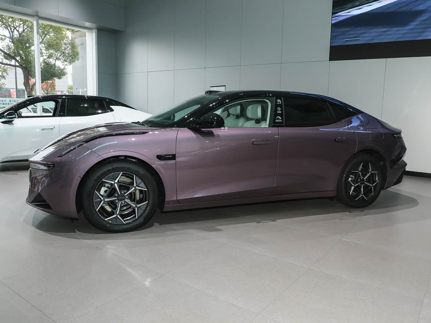 Market Position & Competition