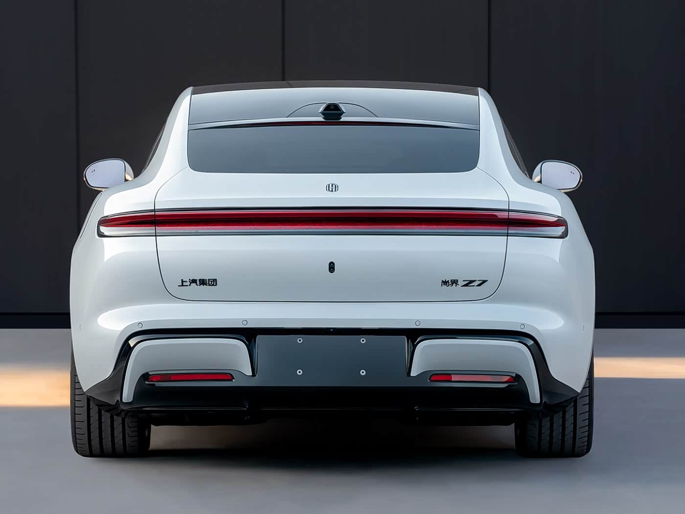 Market Position & Competition