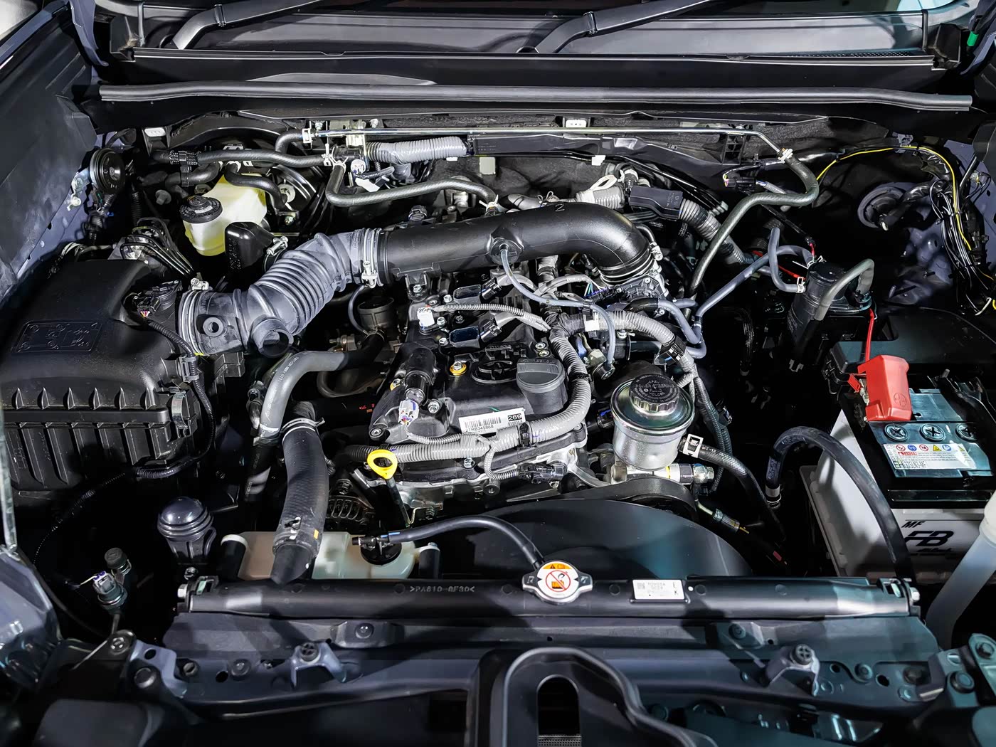 Market Position & Competition