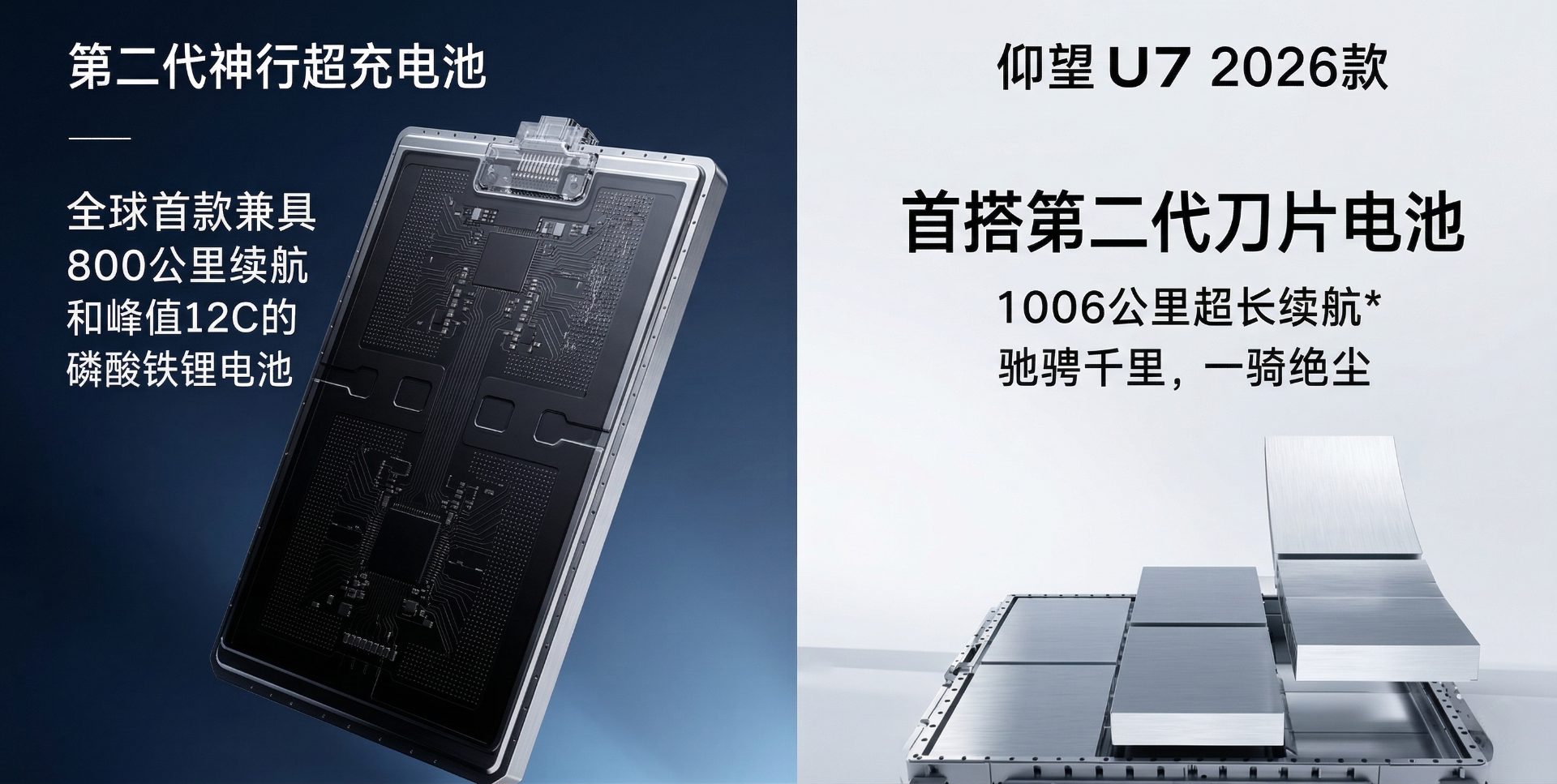 Market Position & Competition