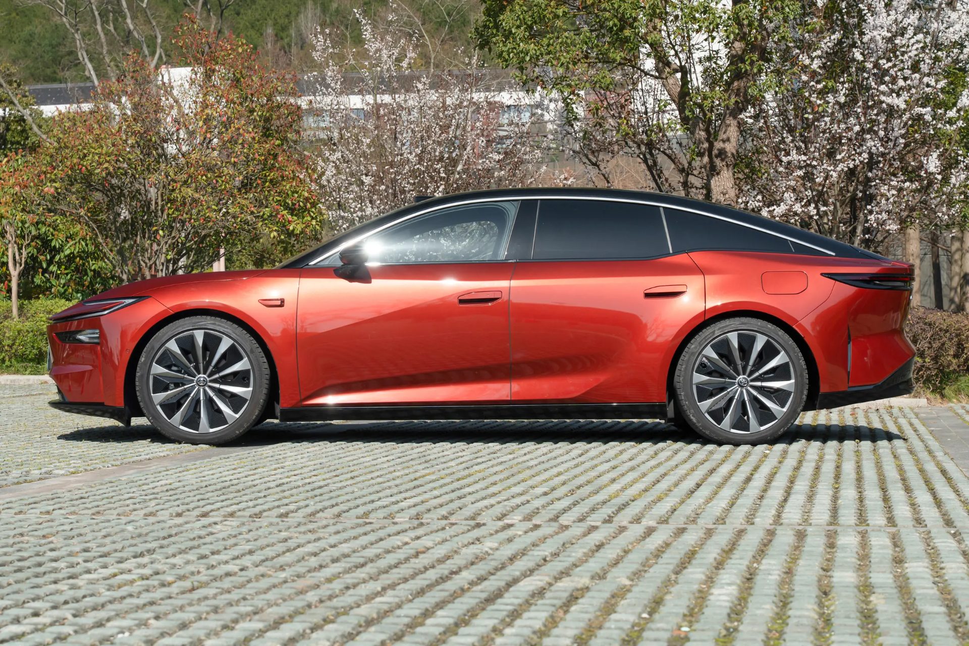 Market Position & Competition