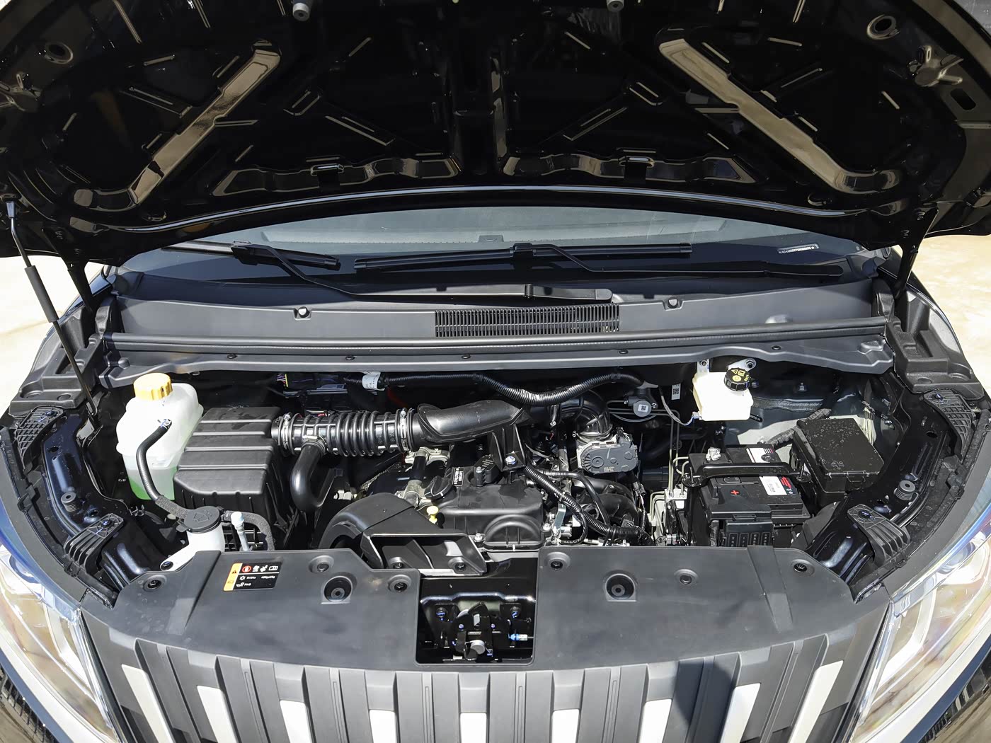 Market Position & Competition