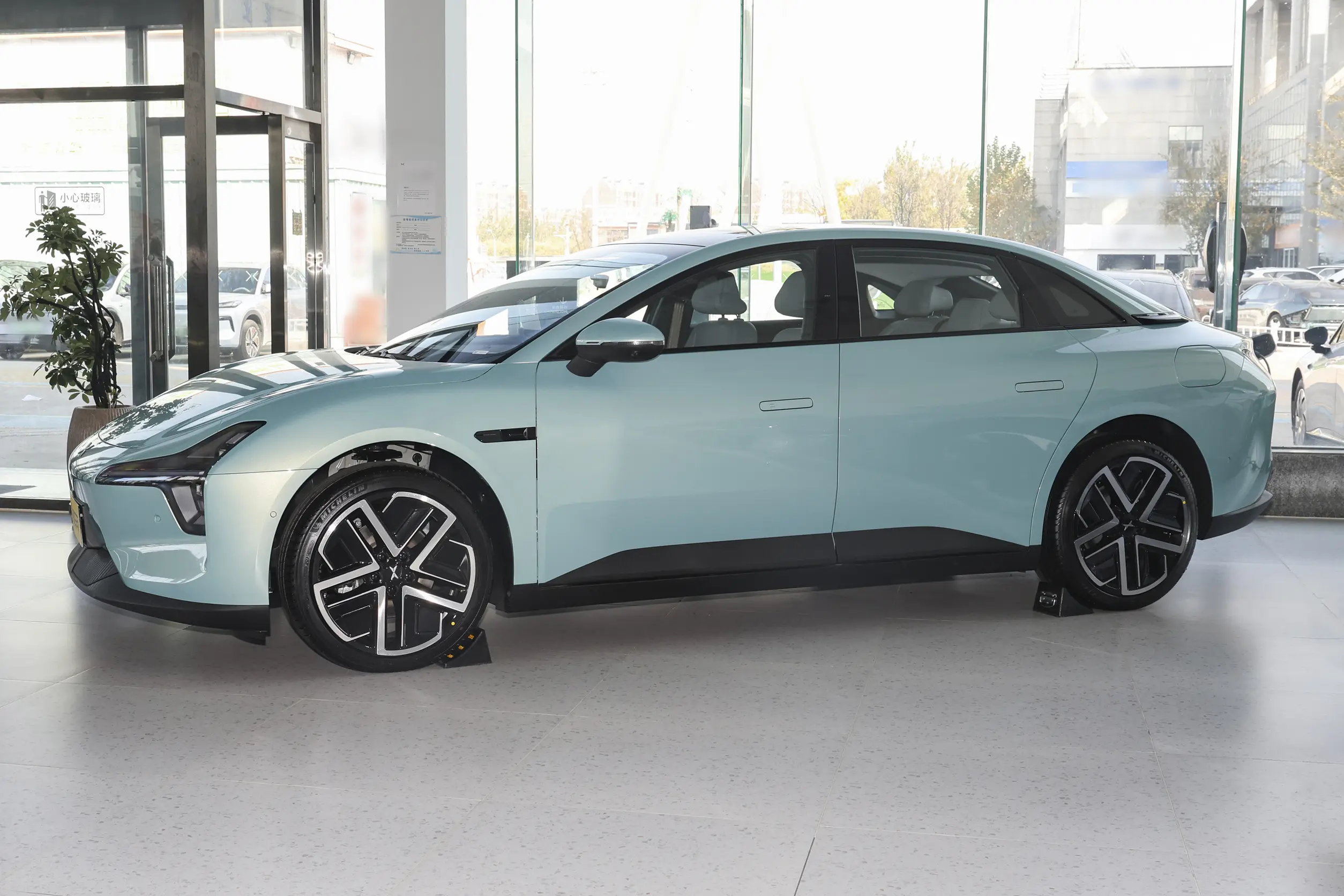 Market Position & Competition