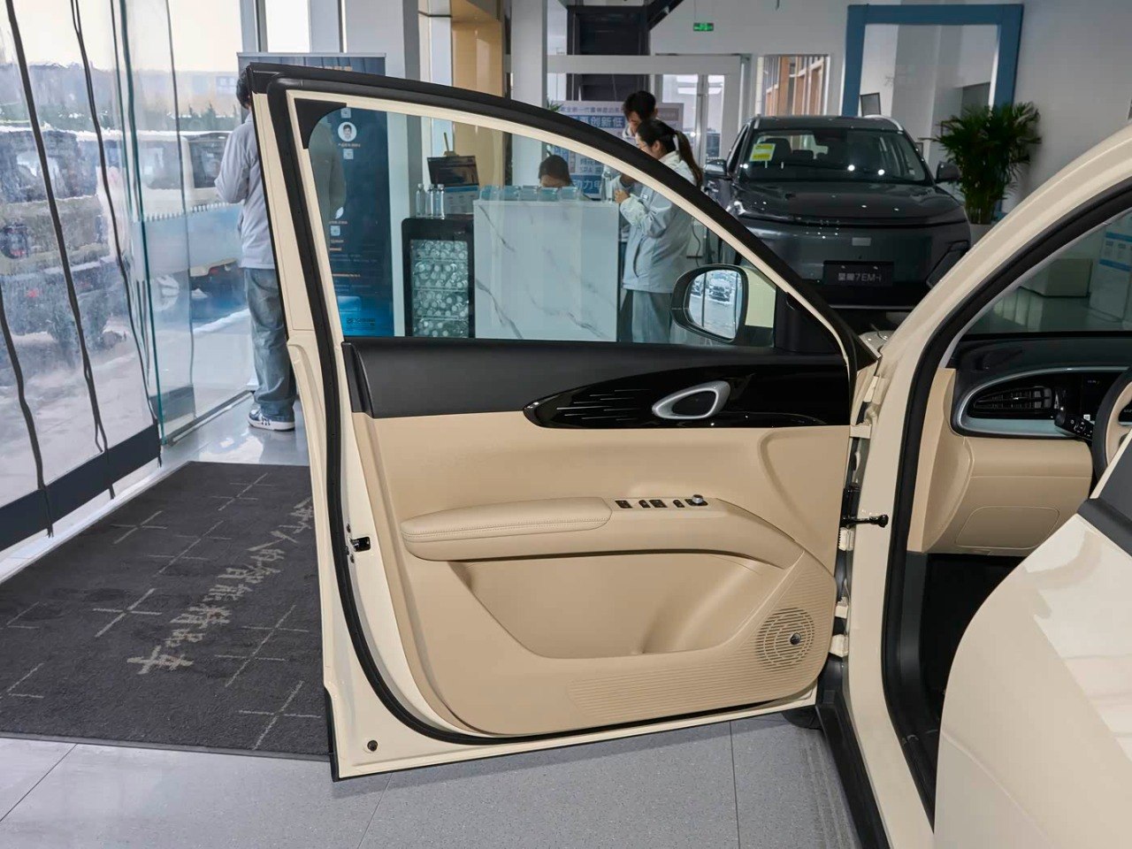 Geely Xingyuan interior door panel beige