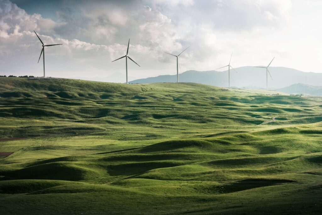 wind1