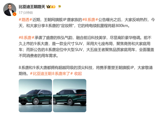 BYD 鈥?-Series Tang鈥?Revealed with 850 km Range and 300 kW Motor