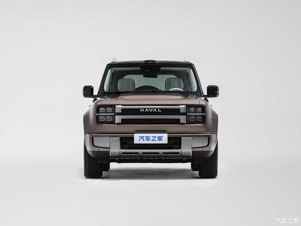 Great Wall H10 exterior and body options