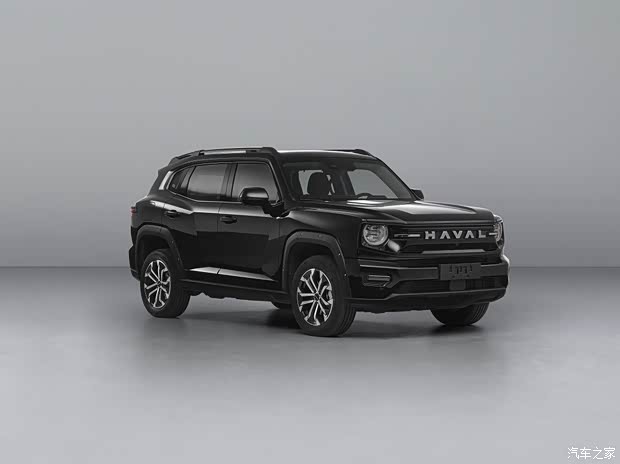 Haval Big Dog Plus Hi2 Hi4 filing