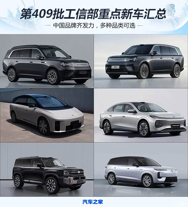 MIIT batch 409 new vehicle summary