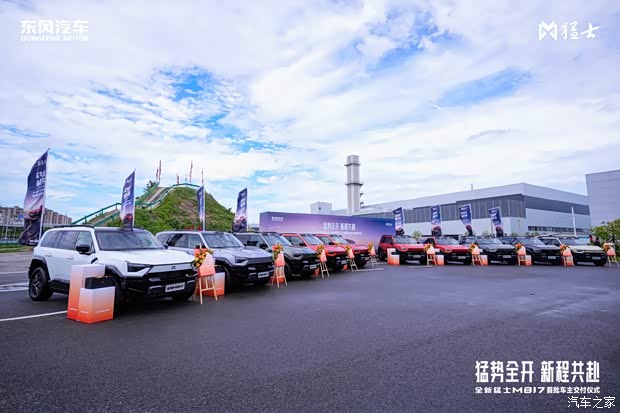 Updated Mengshi M817 delivery start