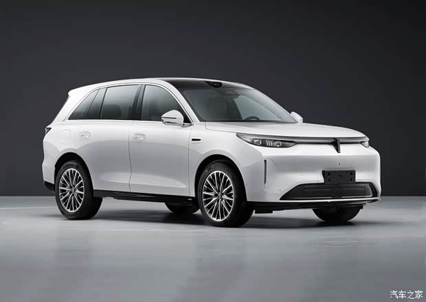 Wey V8X EV filing image