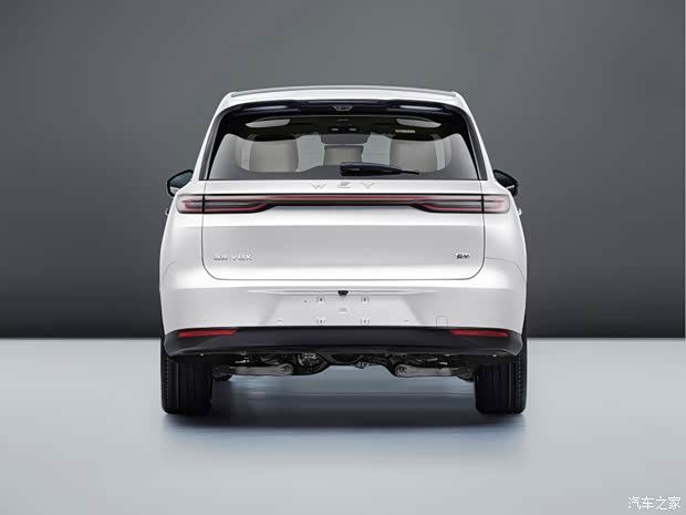 Wey V8X side and rear filing images